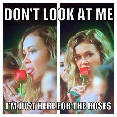 the bachelor memes that are currently slaying the internet nova 969 13876192_1761082357509707_8989646688104351075_n?itok=X 0Wq27L the bachelor memes that are currently slaying the internet nova 969
